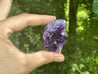 Amethyst Geode "Little Beauts" HEALING GRADE Spectacularly High Quality Specimen