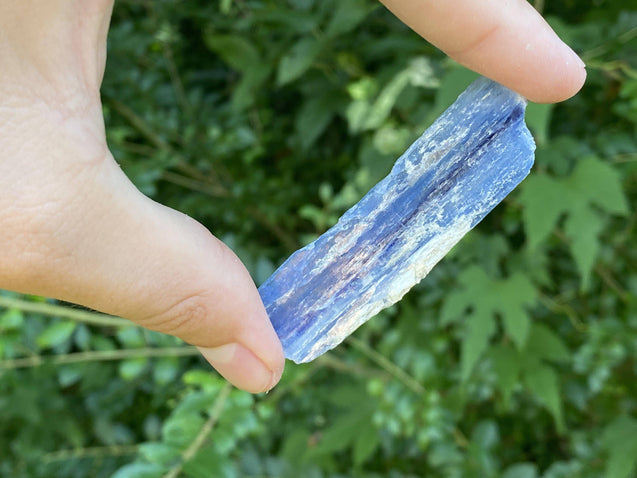 Kyanite Stone Shard "DIRECTION FROM ABOVE" High Quality Healing Crystal