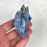 Blue Kyanite Crystal Cluster