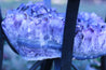 Amethyst Geode Table High Quality Huge Terminations 22.00 Iron Stand Custom Glass GG-21s