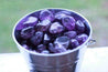 Tumbled Amethyst Stone - DIVINE LIGHT Healing Gemstone GOOD VIBES