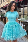 A Line Short Sleeve Lace Homecoming Dress, Charming Short Prom Dress with Short Sleeves