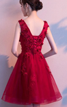 Wine Red V-Neckline Tulle Party Dress With Applique, Short Homecoming Dress