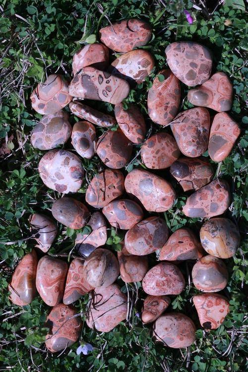 Leopardskin Jasper PRIMAL POWER High Quality Healing Gemstone