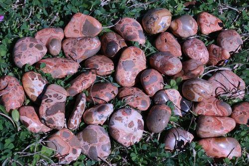 Leopardskin Jasper PRIMAL POWER High Quality Healing Gemstone