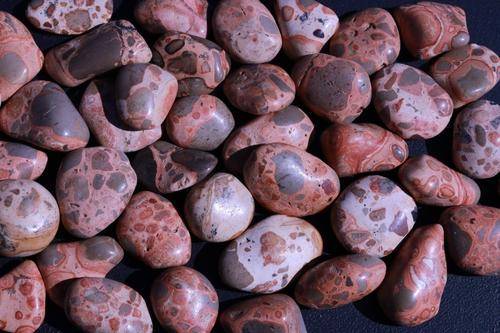 Leopardskin Jasper PRIMAL POWER High Quality Healing Gemstone