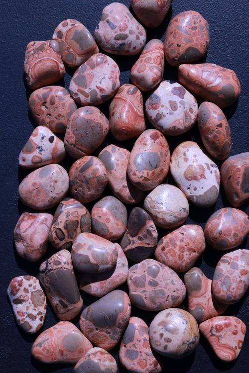 Leopardskin Jasper PRIMAL POWER High Quality Healing Gemstone