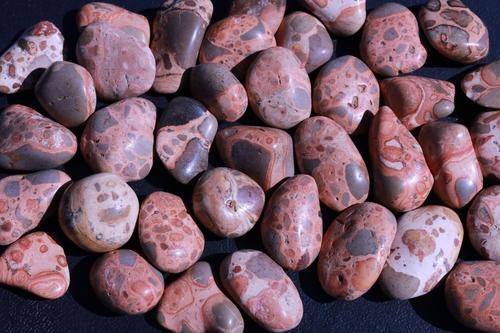 Leopardskin Jasper PRIMAL POWER High Quality Healing Gemstone