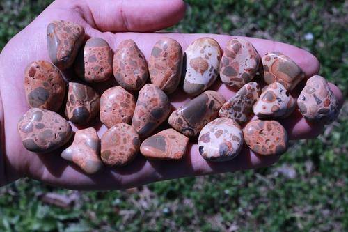 Leopardskin Jasper PRIMAL POWER High Quality Healing Gemstone