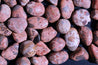 Leopardskin Jasper PRIMAL POWER High Quality Healing Gemstone