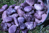 Lepidolite REDUCE STRESS & ANXIETY "Peace" Healing Gemstone LITHIUM Calming