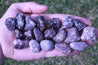 Lepidolite REDUCE STRESS & ANXIETY "Peace" Healing Gemstone LITHIUM Calming