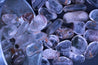 Lodolite RELIEVES COLD & FLU SYMPTOMS Anti-Viral Healing Gemstone