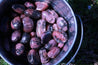 Rhodonite HEALS EMOTIONAL TRAUMA "Empowerment" RELATIONSHIP HEALTH Gemstone