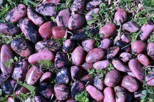 Rhodonite HEALS EMOTIONAL TRAUMA "Empowerment" RELATIONSHIP HEALTH Gemstone