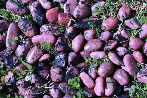 Rhodonite HEALS EMOTIONAL TRAUMA "Empowerment" RELATIONSHIP HEALTH Gemstone