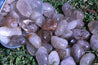 Rutilated Quartz ENERGETIC POWERHOUSE Manifestation Healing Gemstone