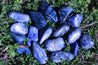 Sodalite CALM IN THE CHAOS Awaken the Artist With THROAT CHAKRA Healing Gemstone